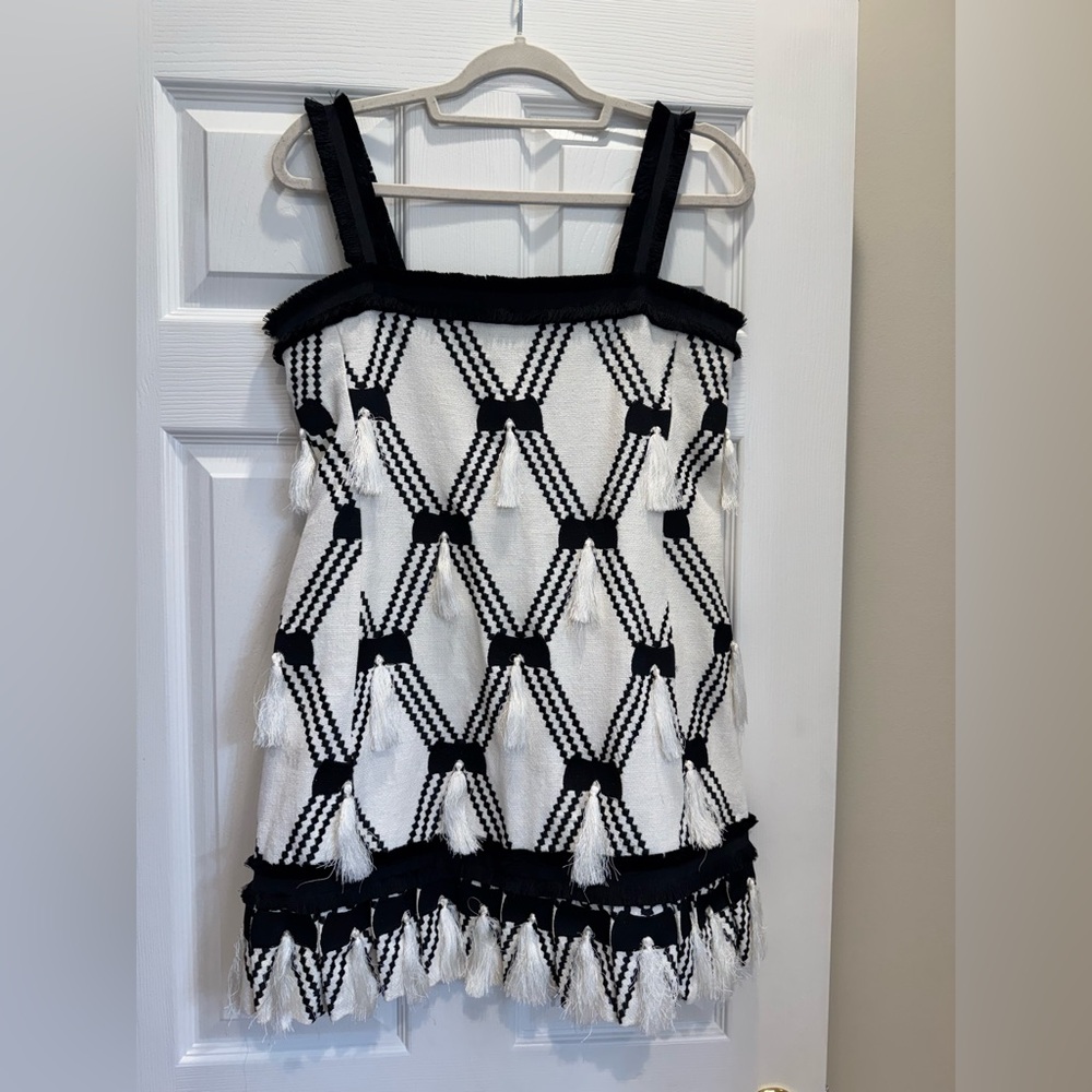 ALEXIS Bijou Knit Tassel A-line Mini Dress